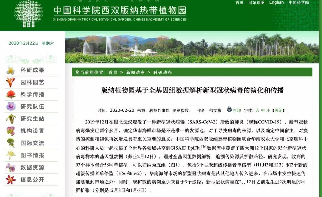 新冠源头最新报道,新冠源头最新报道，巷弄深处的独特小店探秘