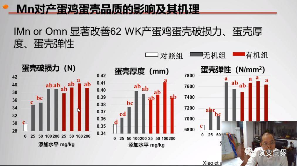 2024年管家婆的马资料,稳固执行战略分析_高效版74.228
