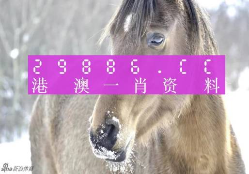 澳门一肖一码100%精准的背景故事,实地观察数据设计_荣耀版26.317
